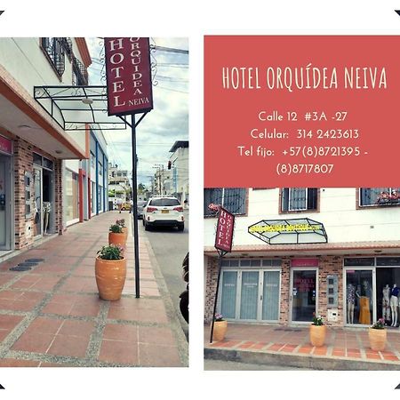 Hotel Orquidea Neiva ネイバ エクステリア 写真