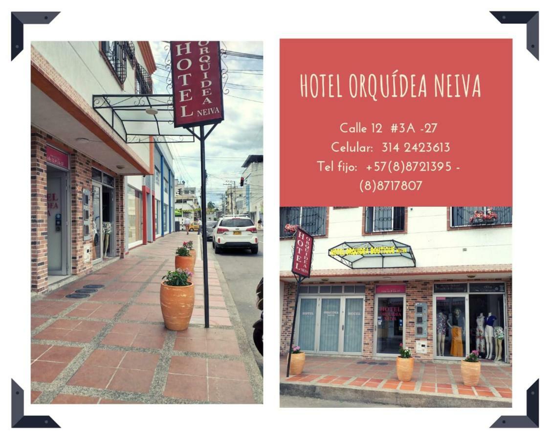 Hotel Orquidea Neiva ネイバ エクステリア 写真